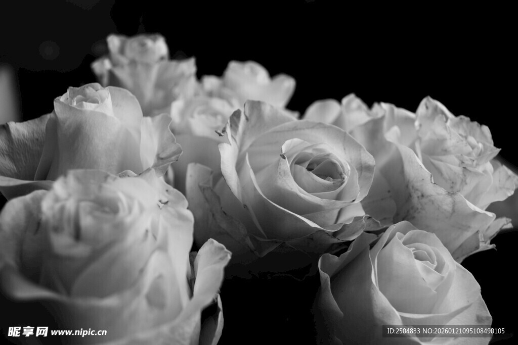 黑白优雅玫瑰花束