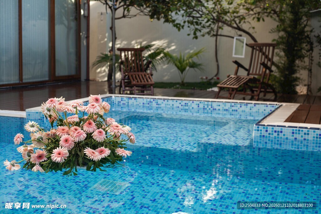 泳池中绽放的美丽花卉