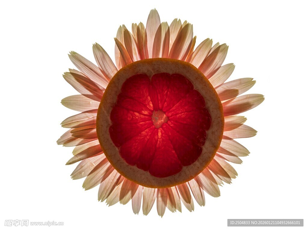 红色花蕊的独特花朵