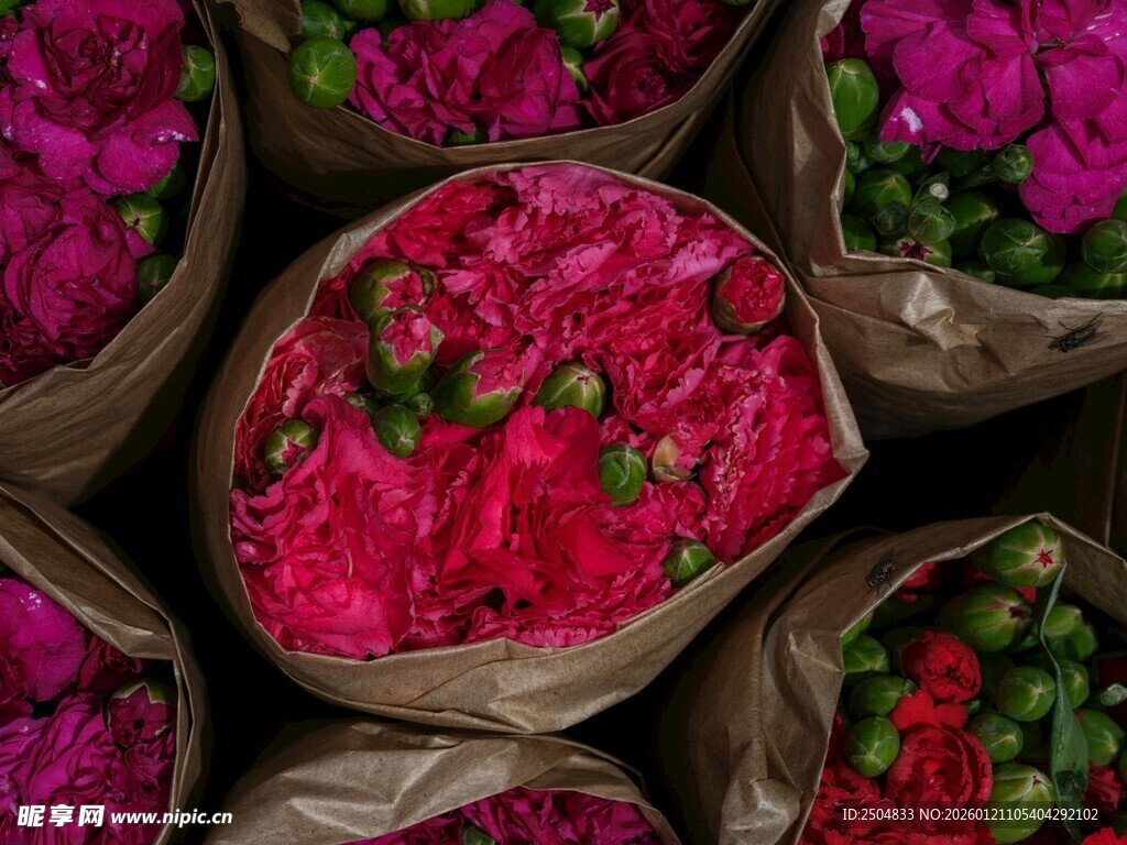 多彩娇艳花束待售