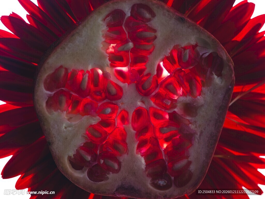 红色立体花瓣装饰图案