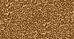 棕色豹纹纹理图案