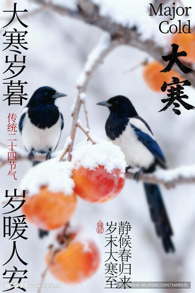 寒枝双鹊伴秋柿大寒海报