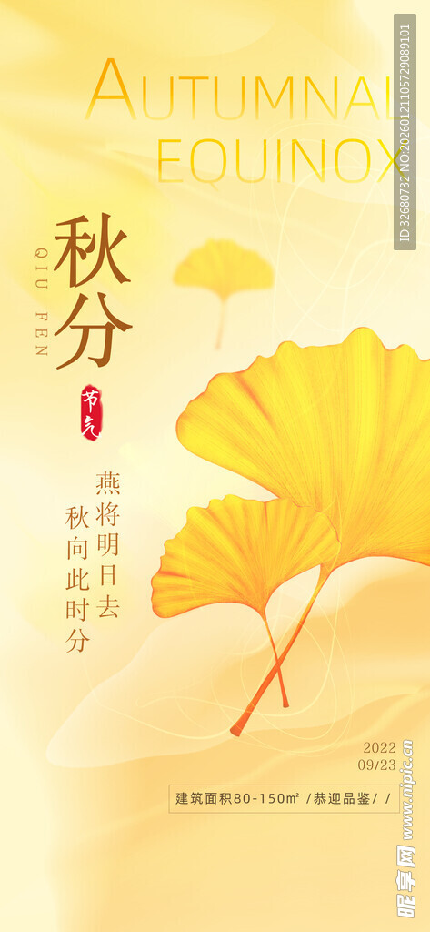 秋分时节银杏叶之美