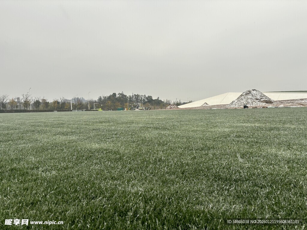 广袤绿野中的宁静农场景象