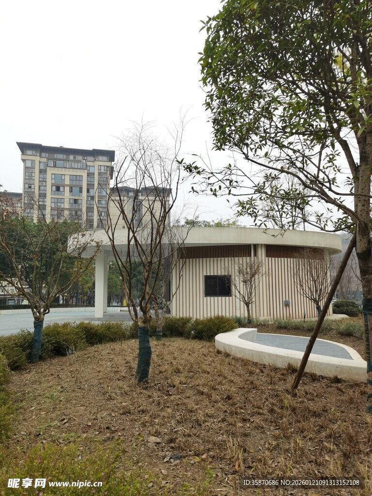 户外建筑旁的绿化景观