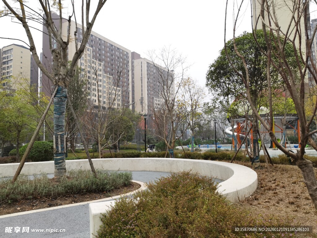 城市公园中的静谧小径