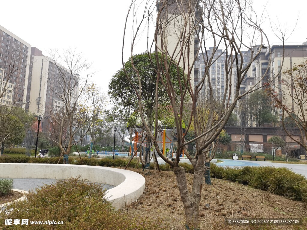 城市公园中的冬日景观