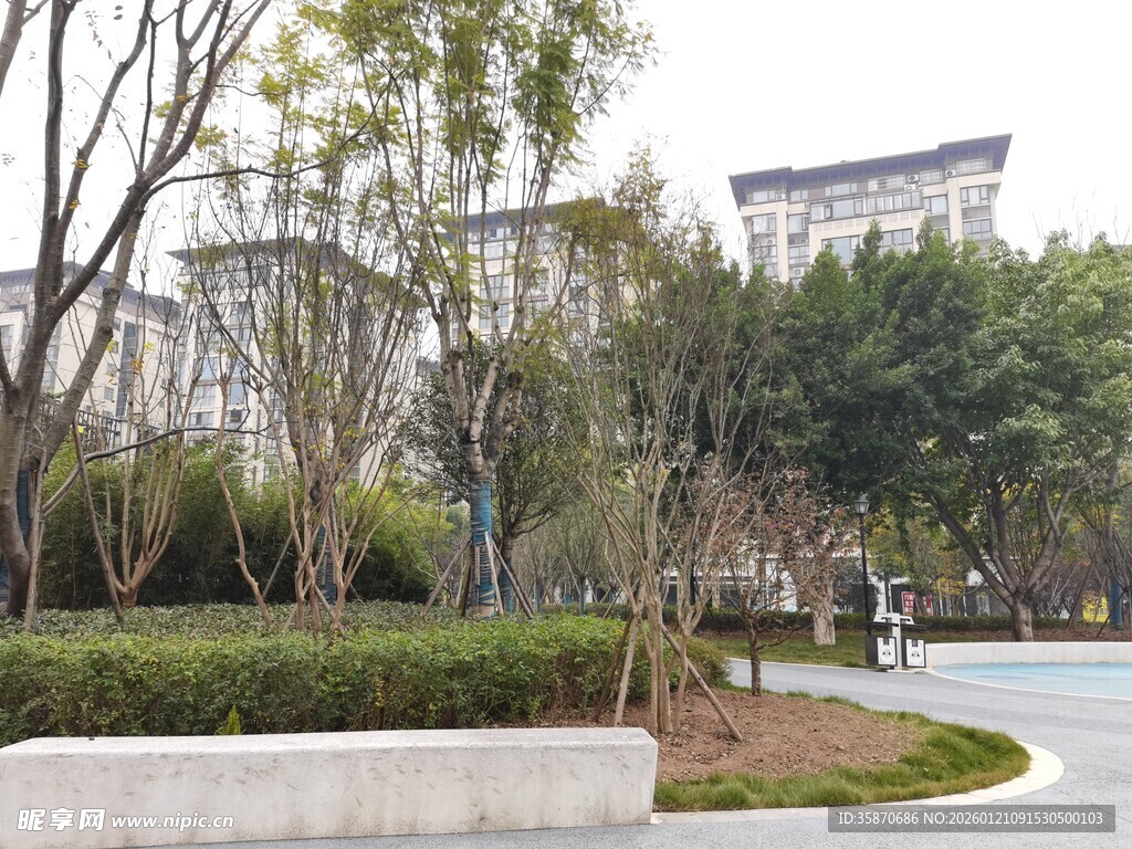城市公园景观一角