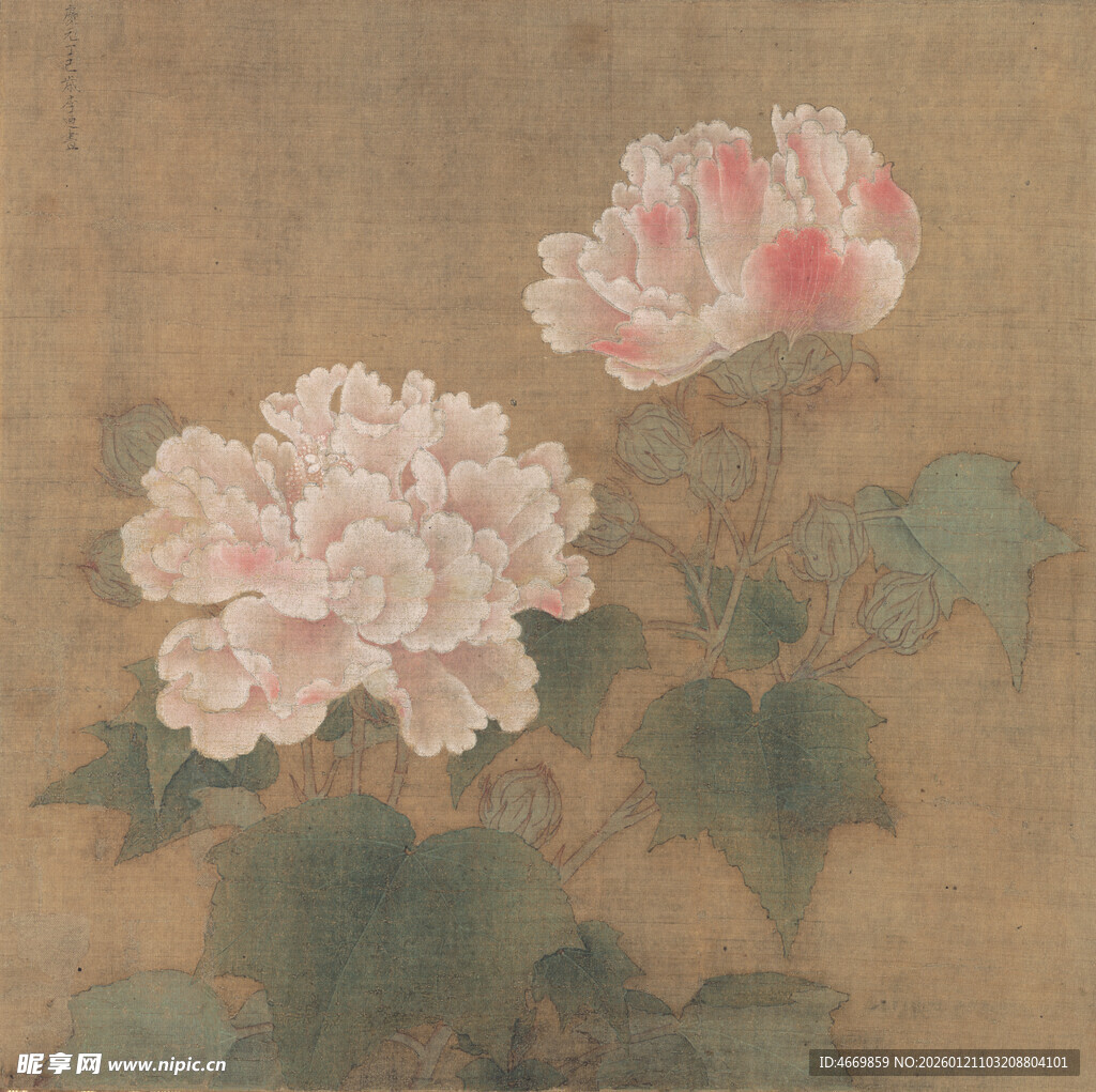 古画中的两朵娇艳牡丹花