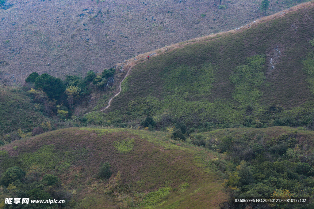 山间绿意盎然的丘陵景色