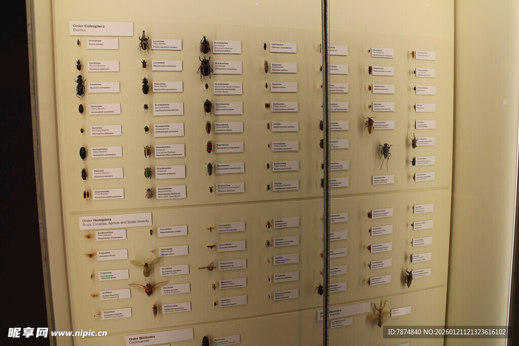 档案柜内整齐排列的抽屉