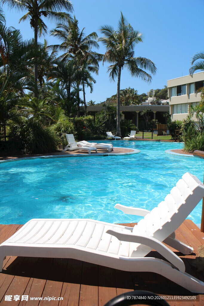 热带泳池旁的休闲躺椅