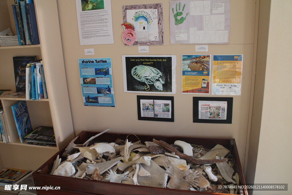 教室角落的创意手工展示区