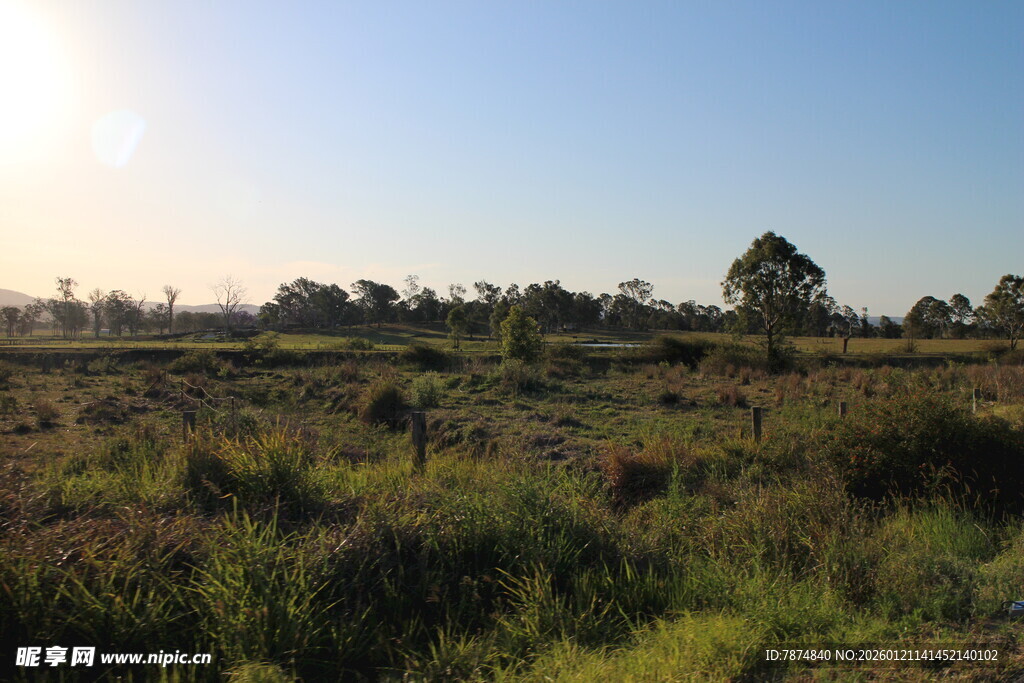 日出下的广袤原野