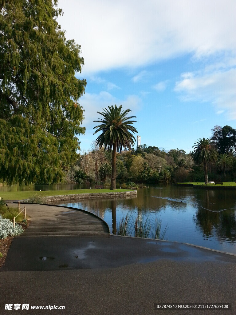 湖畔风景 静谧自然之美