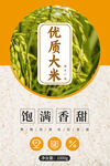 优质饱满香甜的美味大米