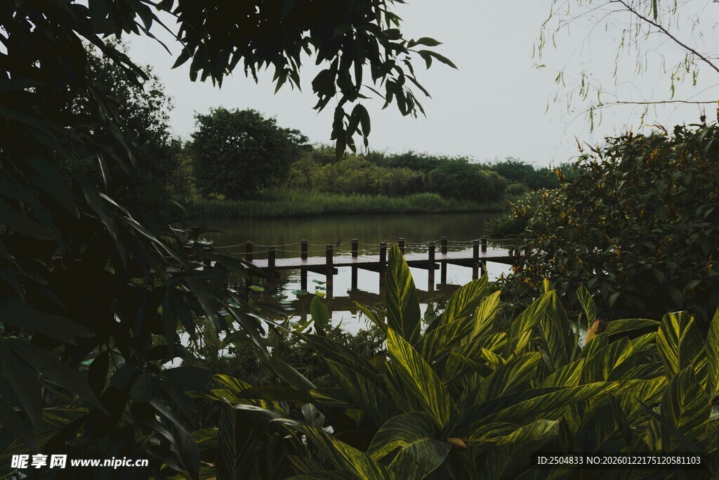 湖畔木桥旁的葱郁景致