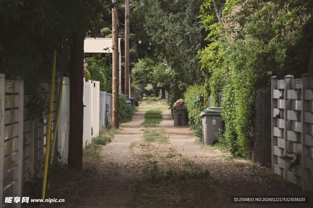 幽静小巷 绿植环绕的通道