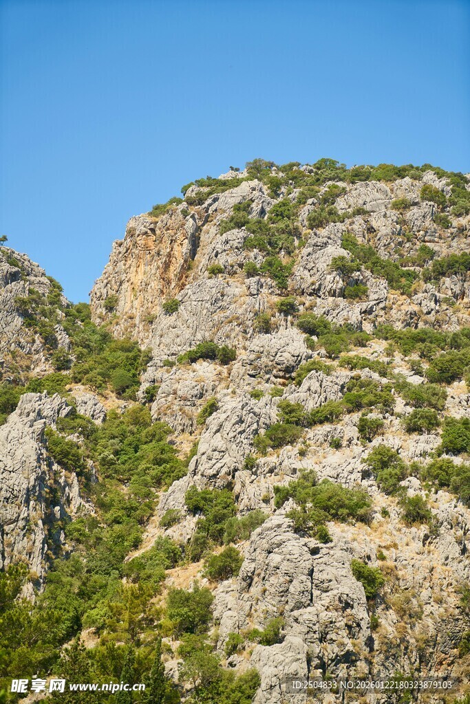 岩石山坡上的绿色植被