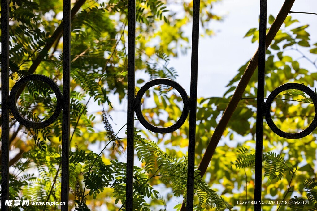 林间悬挂的黑色圆环装置