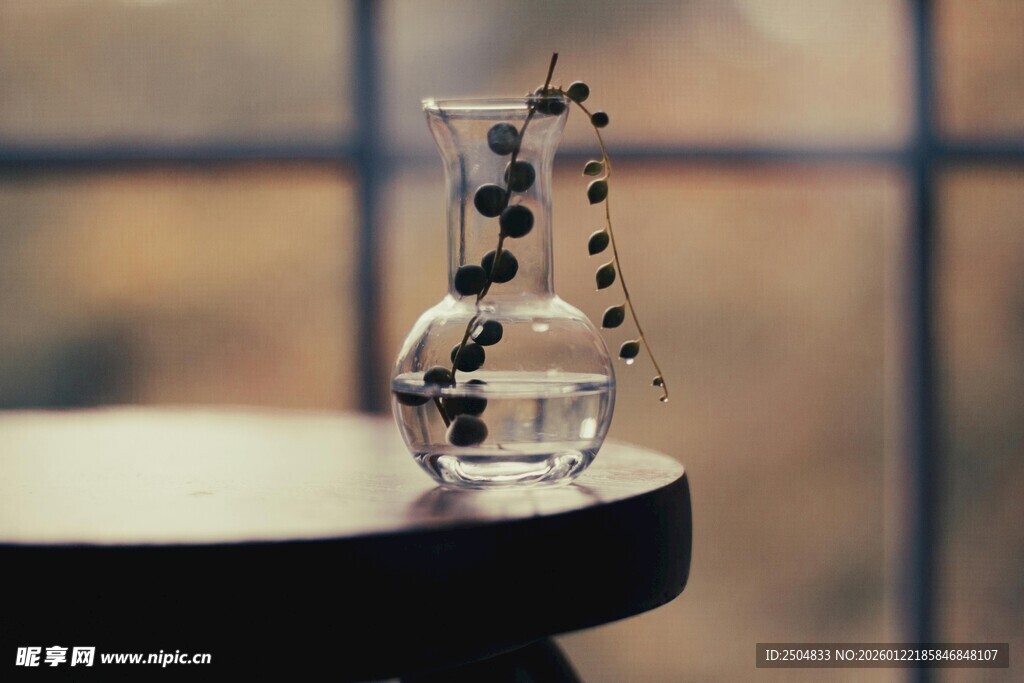 简约玻璃花瓶中的绿植