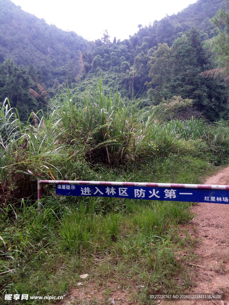 山林间的蓝色警示标识牌