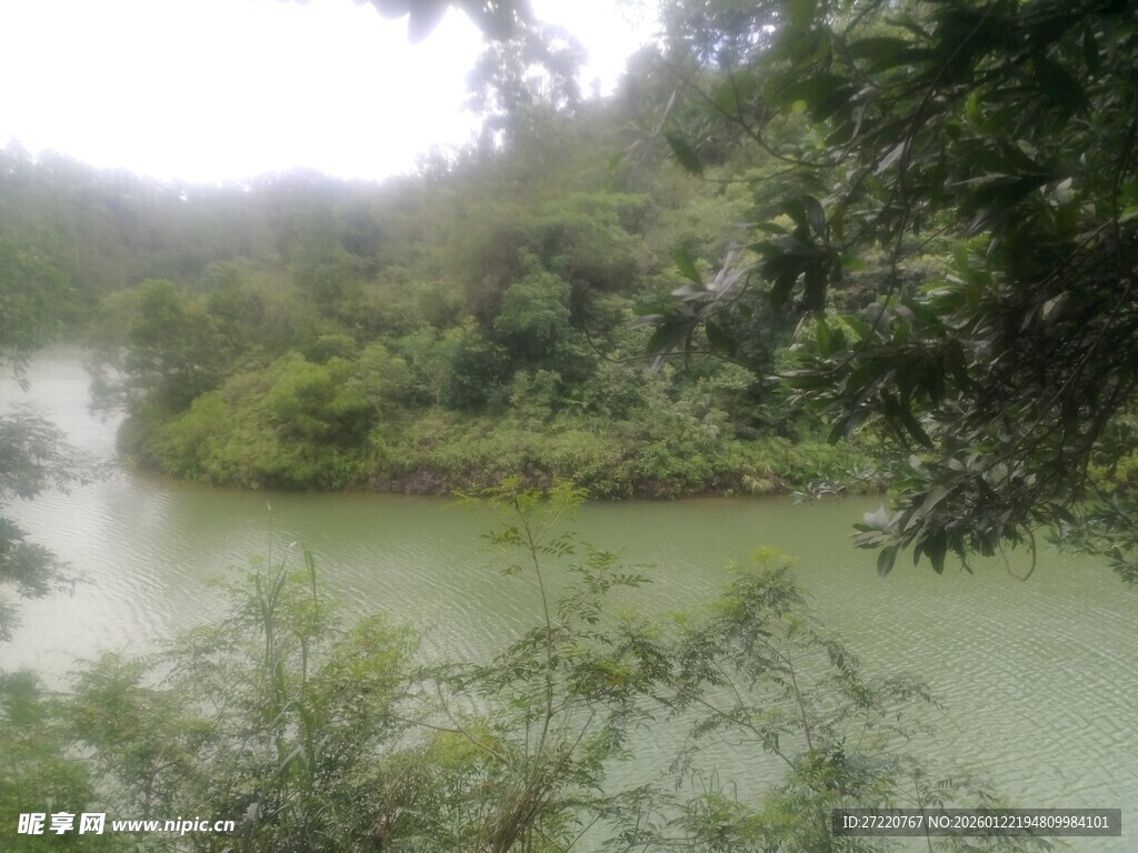 山间绿水畔的葱郁景致