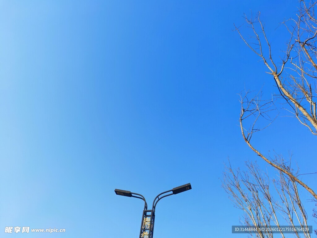 蓝天路灯与光秃树枝景象