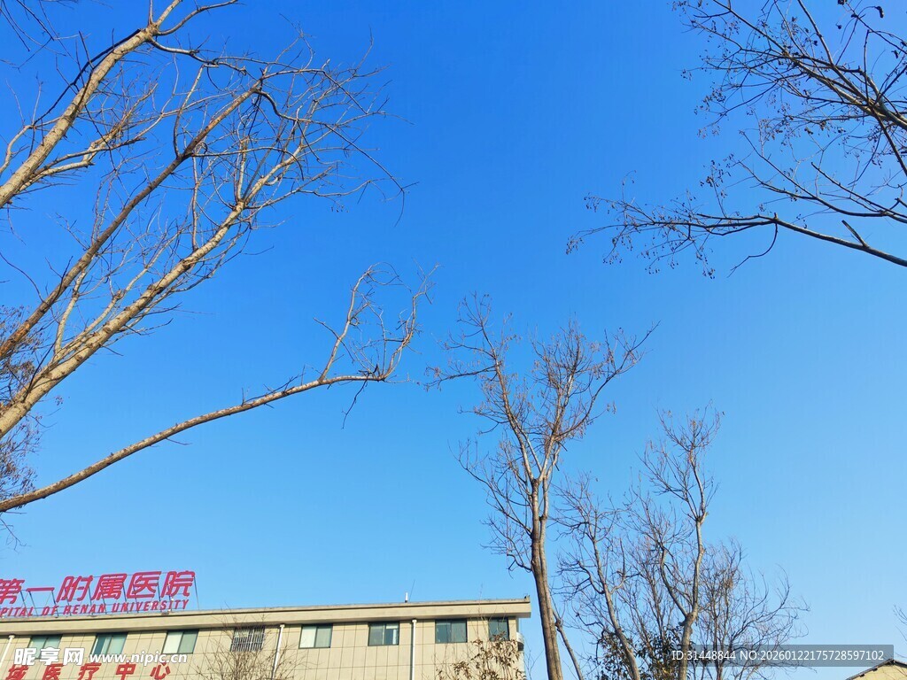 蓝天映衬下的建筑物