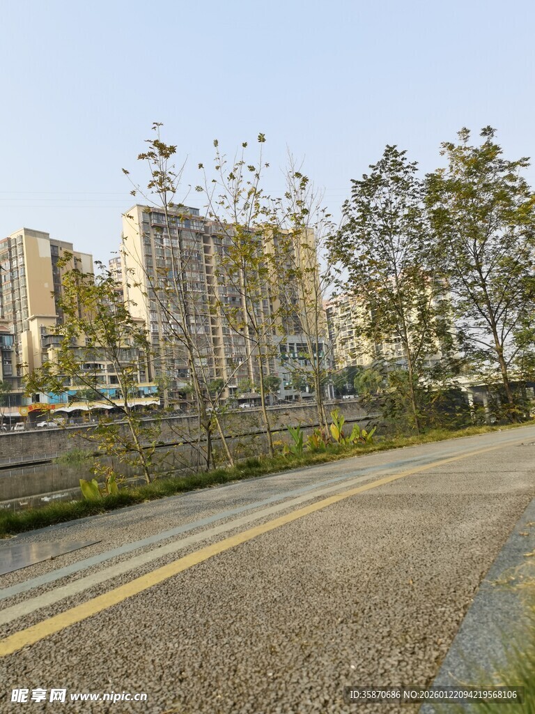 城市道路旁的建筑与树木