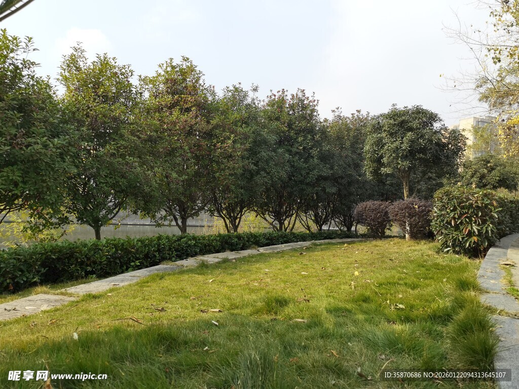 绿意盎然的公园小径