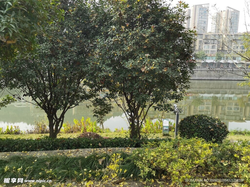 城市河畔绿意盎然的景致