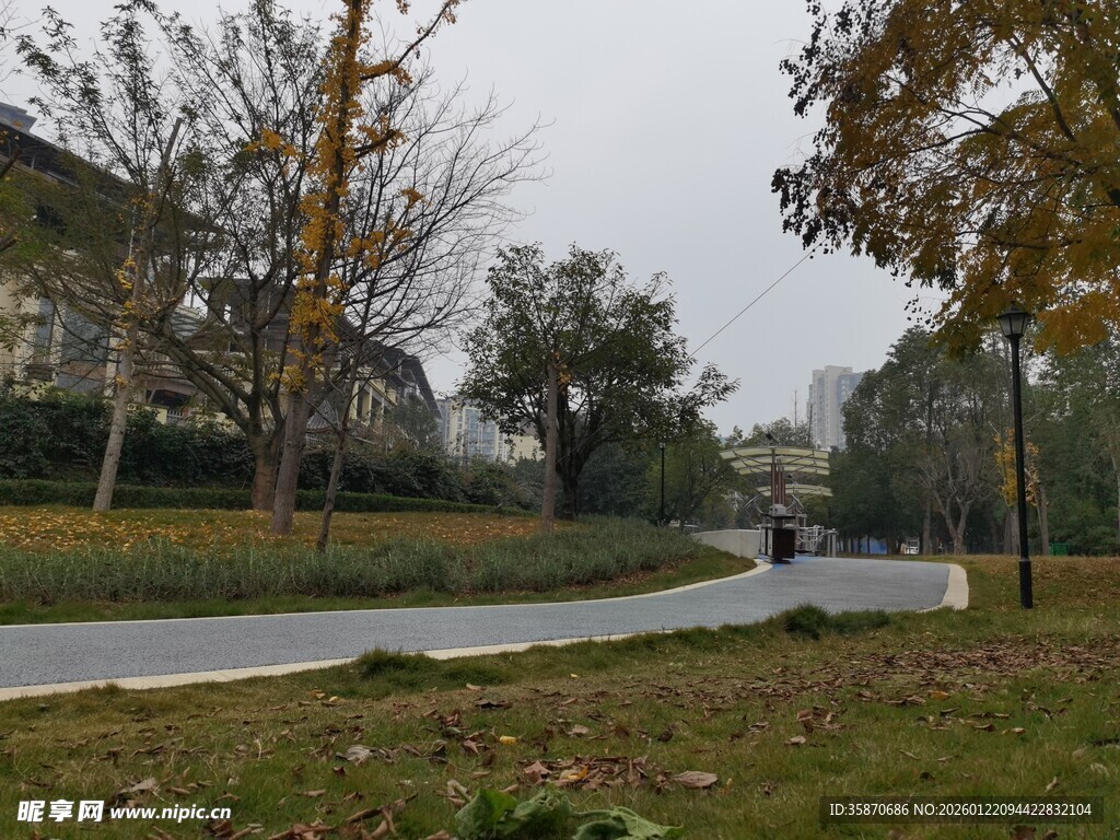 城郊林间蜿蜒小路景观