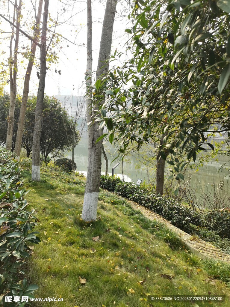 湖畔绿意盎然的园林景致