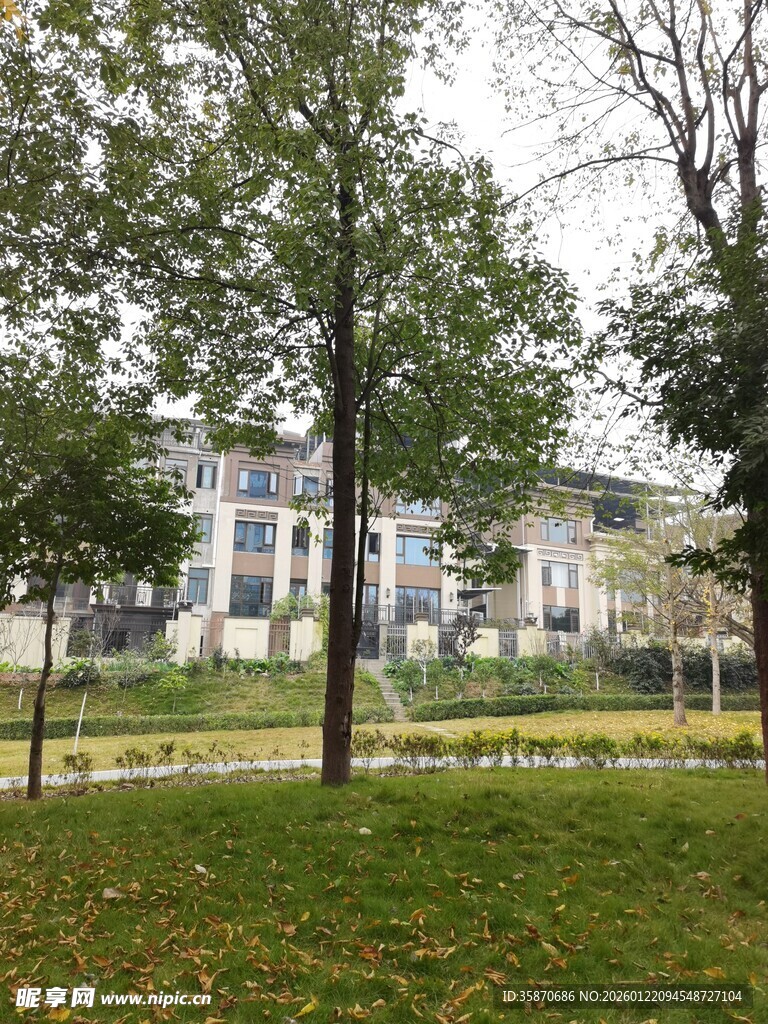 校园绿地与建筑景观