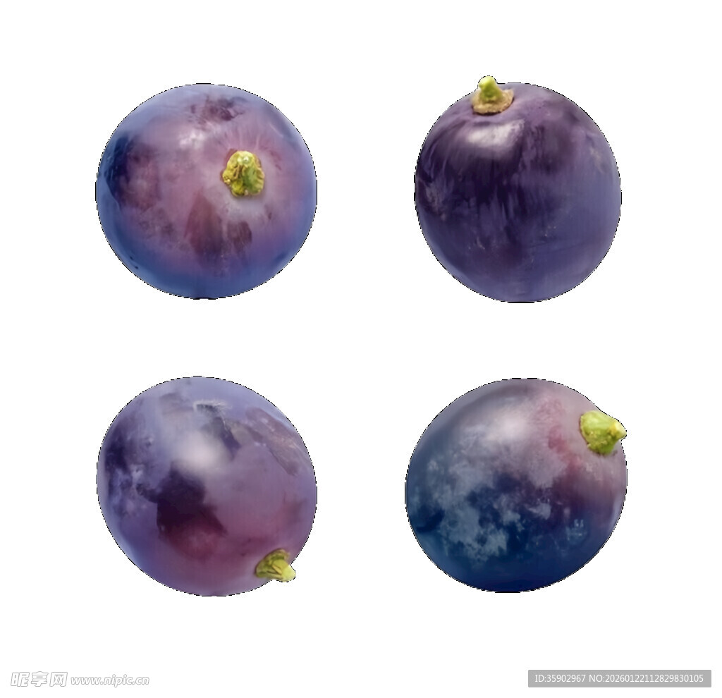 四颗紫葡萄特写