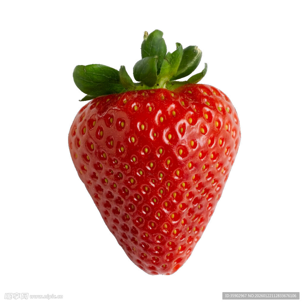 鲜红饱满的单颗新鲜草莓