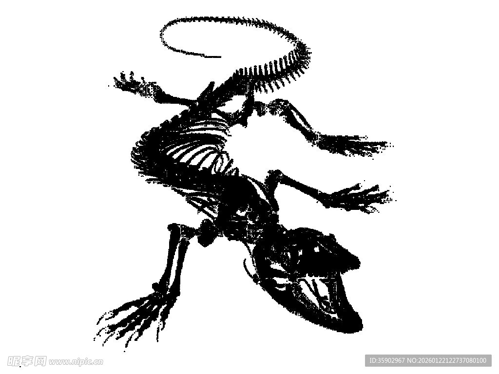 黑色蜥蜴骨架图案设计