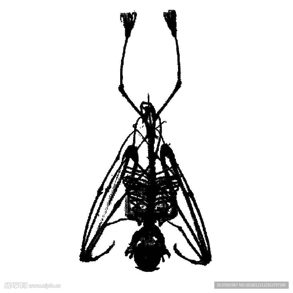 黑色金属风昆虫雕塑