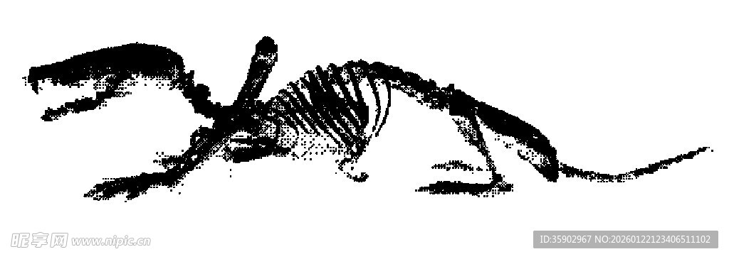 远古蜥蜴骨骼化石