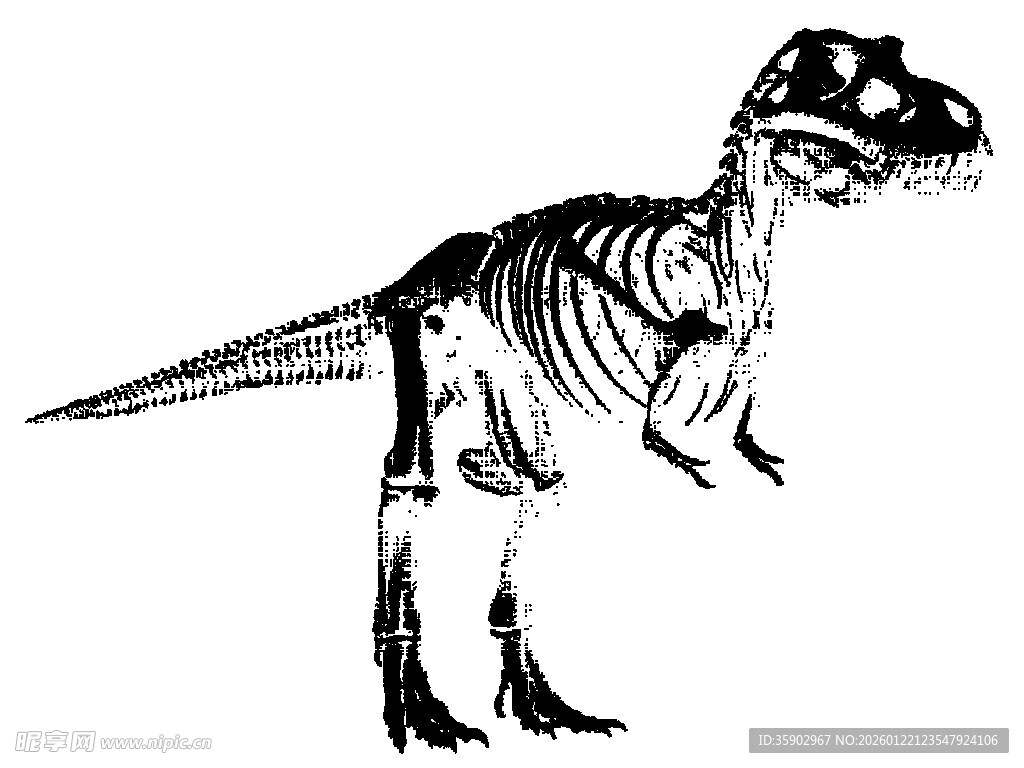 恐龙骨架黑白插画