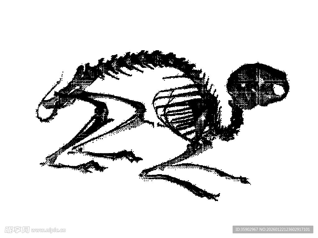 手绘骷髅松鼠艺术插画