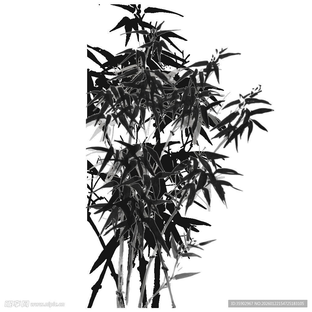 水墨风竹子植物插画