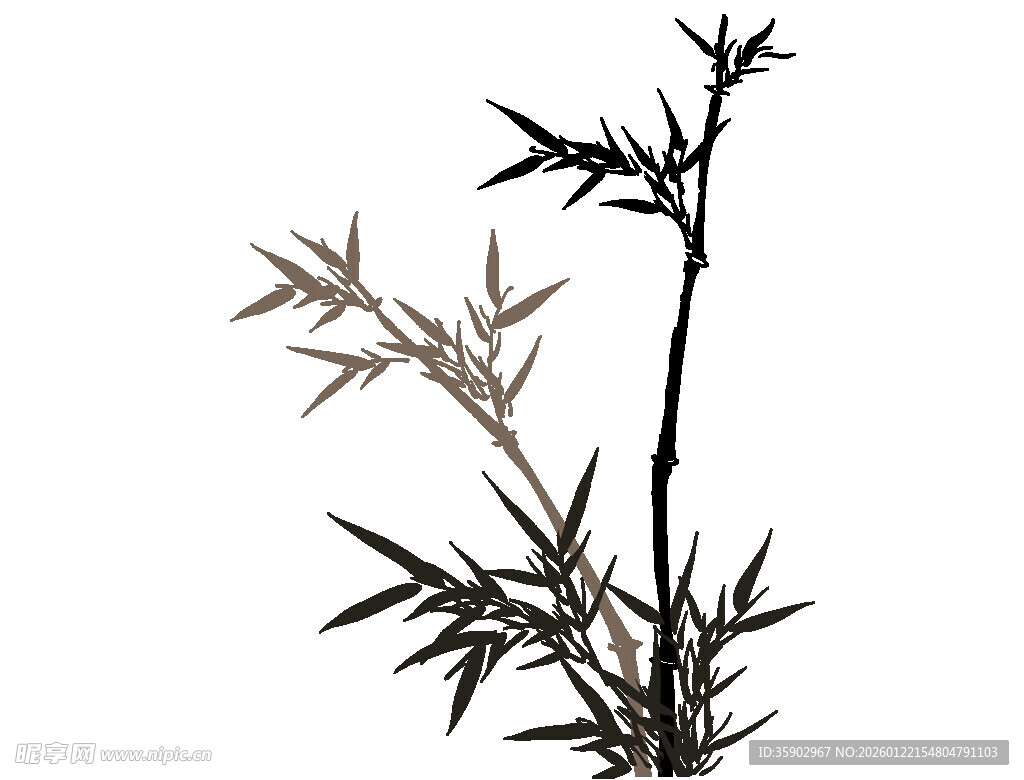 水墨风单枝竹子特写