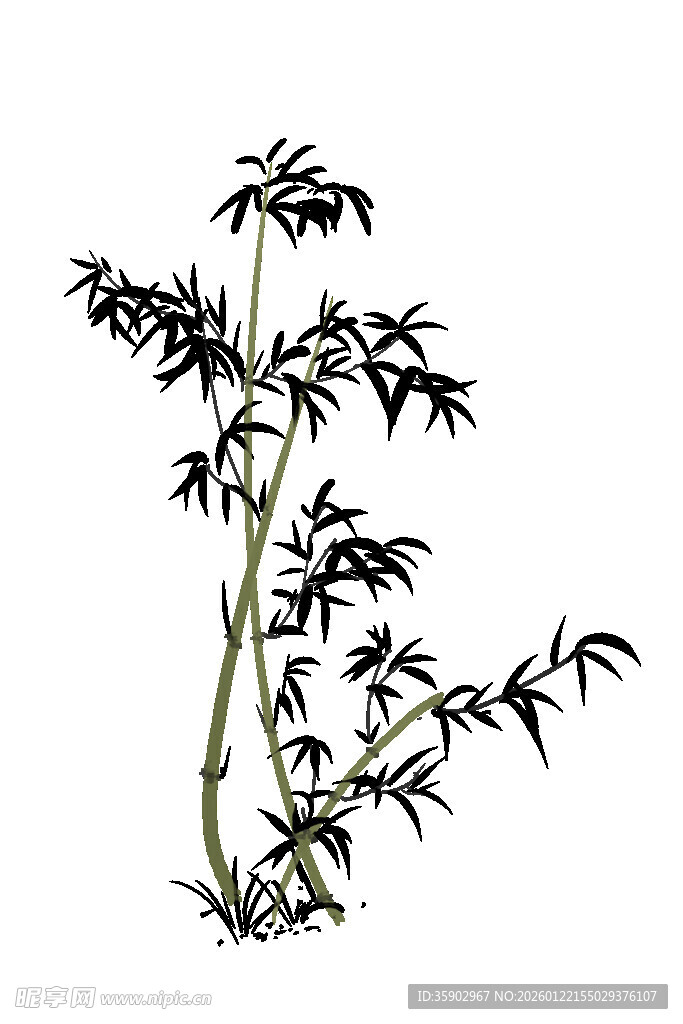 水墨风单株竹子插画
