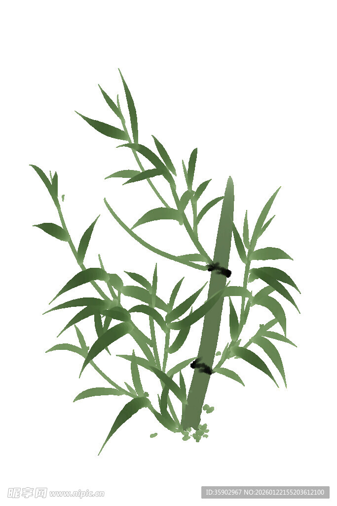 水墨风翠竹插画