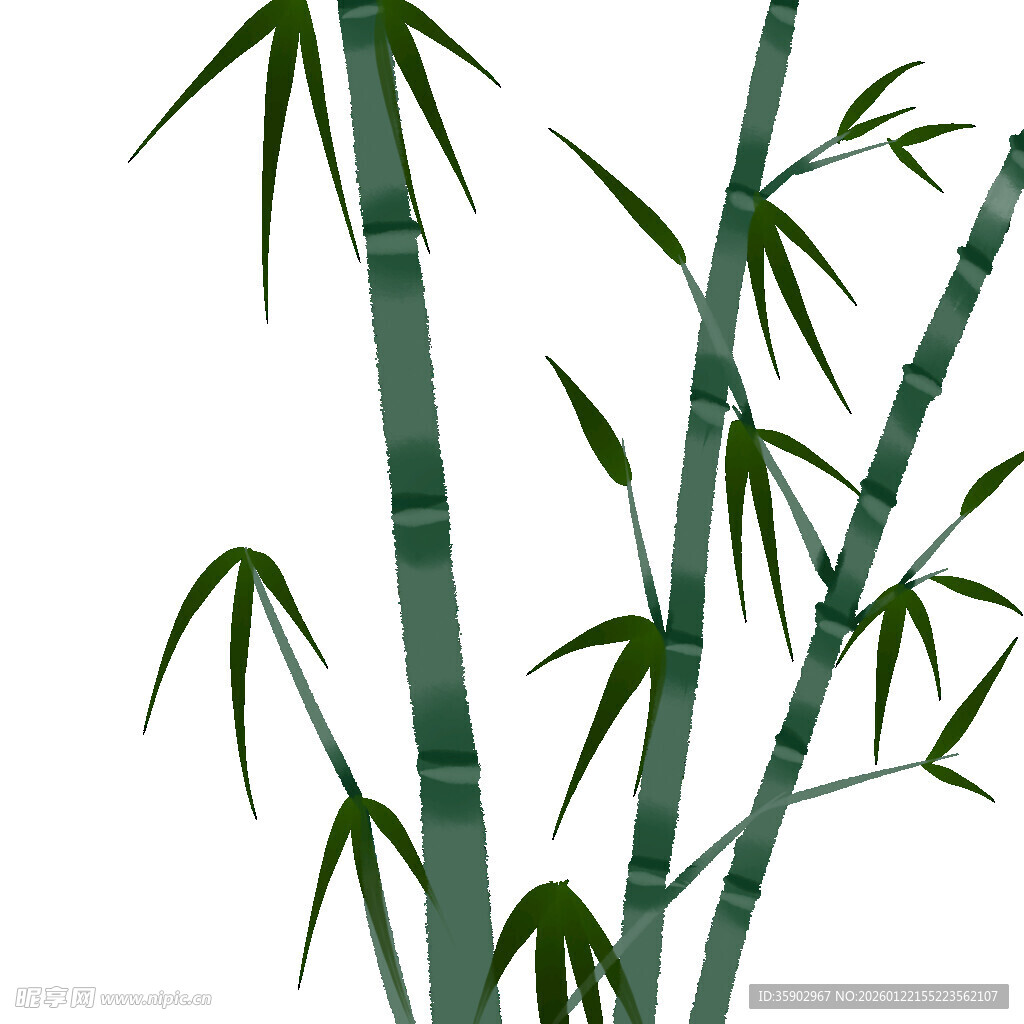 翠绿竹子插画