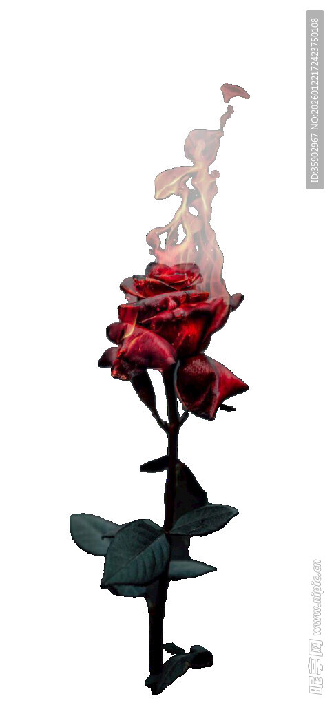 红玫瑰上的芭蕾舞者摆件