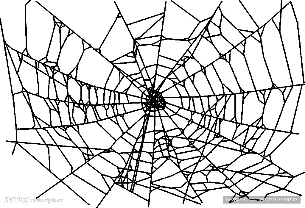 精致蜘蛛网图案